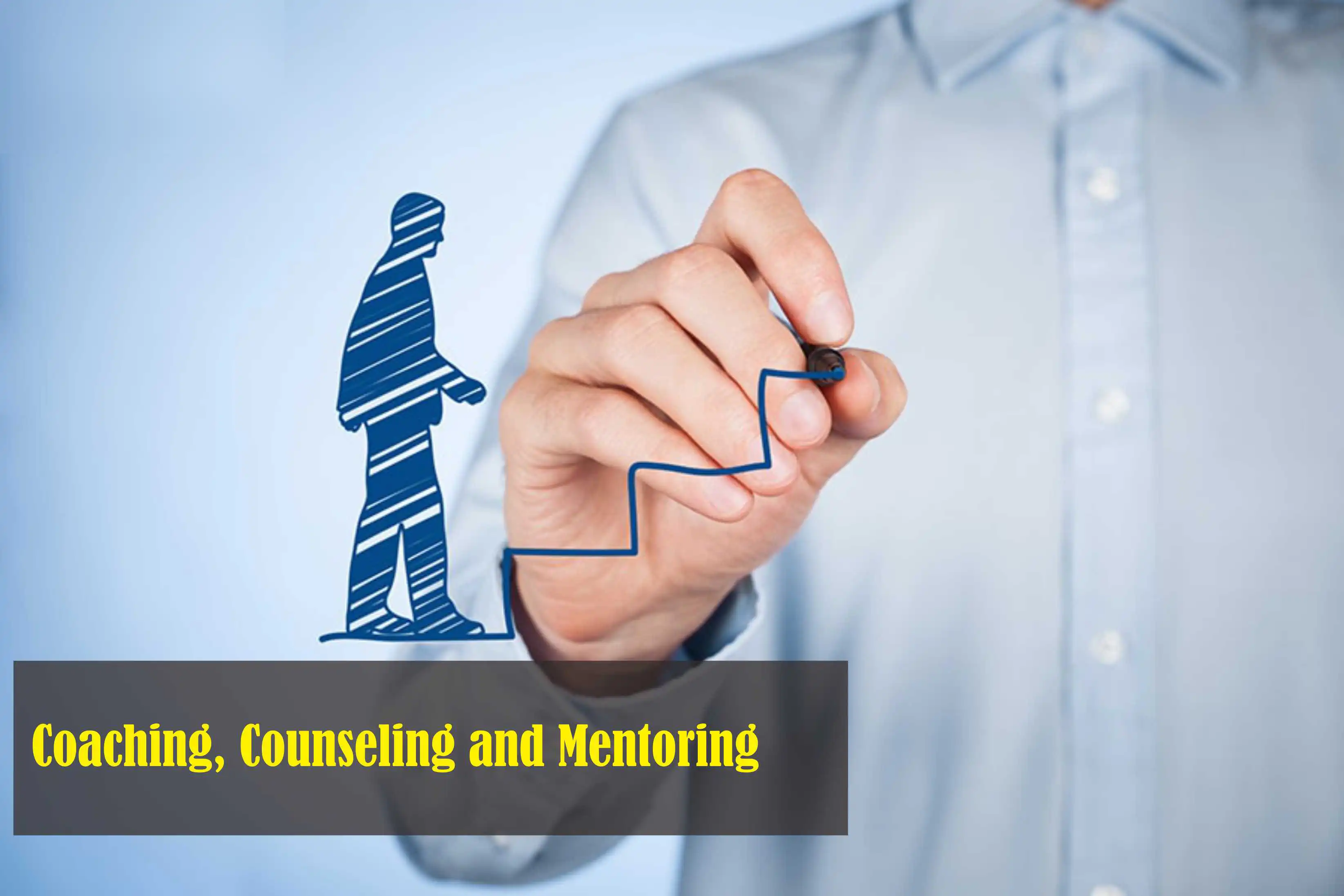 Koçluk ve danışmanlık programları